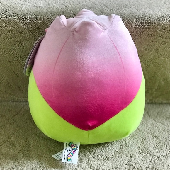 8” Squishmallow Bridgie
Brand New with Tags
Pink Tulip Squishmallow - Picture 2 of 5